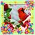 Rosemarie Morgan's profile image