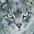 Jennifer Lowe Devereux's profile image