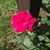 Maygin Pinkley's profile image