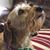 Dennis Kendell Yates's profile image