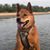 Craig Christopher's profile image