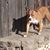 Joan Darnell's profile image