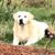 Katrina Carlson Ivanoff's profile image