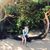 Samantha Taylor's profile image