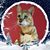 Lynn Newman's profile image