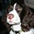 Patrick Sudderth's profile image