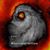 Lou Koepke's profile image