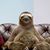 Debra Keefer Ramage's profile image