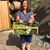 Monica Greenberg's profile image
