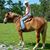 Lori Stout Mazzone's profile image