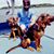 Kelly Bishop's profile image