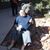 Colleen Goodman's profile image