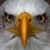 Brad Vansell's profile image