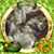 Darlene Ochs's profile image