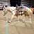 Alexis James Kivett's profile image