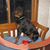 Jean Danner's profile image