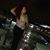 Keila Salerno's profile image
