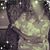 Linda Borel's profile image