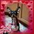Deborah Bond's profile image