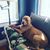 Diane Gillette Deinhart's profile image