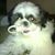 Pms Sandoval's profile image