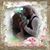 Sheila Seaton's profile image