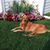 Cathie Litogot Adamczyk's profile image