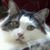 Elaine Burns's profile image