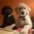 Clinton Burleson's profile image