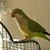 Denise Beagley's profile image