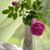 Linda Cranston's profile image