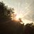 Dawn Milatz Ware's profile image
