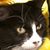 Mary Ann Dupuy Cole's profile image