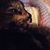 Patrice Carmichael Bascom's profile image
