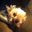 Whitney Pelley's profile image