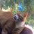 ELaine Jerauld's profile image