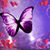 Solveig DesJardins's profile image