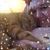 Jessica Leah Macri's profile image
