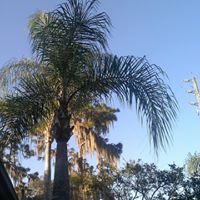 Debra Bell's profile image