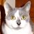 Patricia Luterzo's profile image