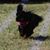 Karen Haney's profile image