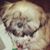 Lexie Christiansen's profile image