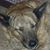 Kim Curtis's profile image