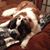 Denise Dettman Ferguson's profile image