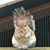 Xine Bouthillier's profile image