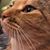Ines Schroeder's profile image