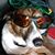 Lynsi Schultz Peterson's profile image