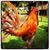 Vigor Farms's profile image