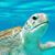 Connie Beil Oubre's profile image