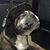 Bill Citelli's profile image